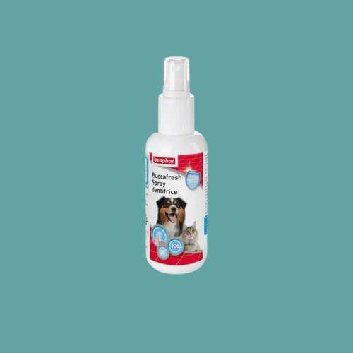Dentifrice pour chat