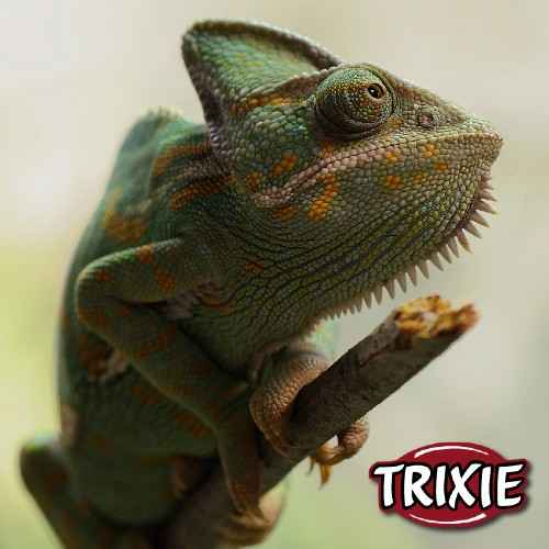 produits pour reptile Trixie