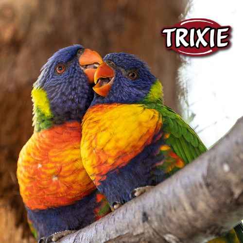 produits pour oiseaux Trixie