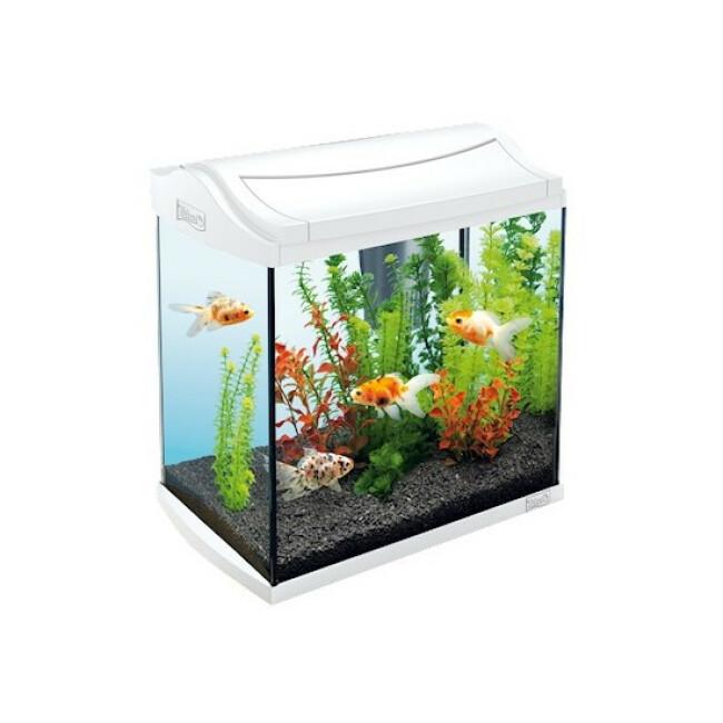Aquarium Aqua Art Tetra Blanc 30 litres