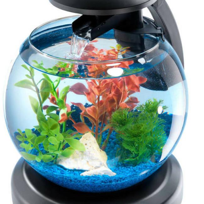 Aquarium Tetra Cascade Globe