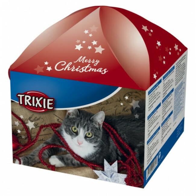 Boîte surprise de Noël pour chats