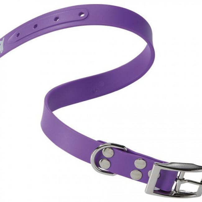 Collier Ergoflex CF violet à micro-régulation pour chien