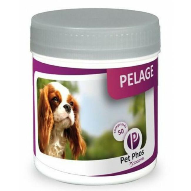Complément alimentaire Pet-Phos Pelage pour chien boîte 450 comprimés