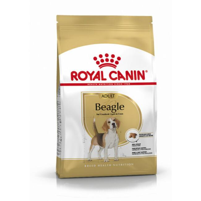 Croquettes Royal Canin Beagle Adulte