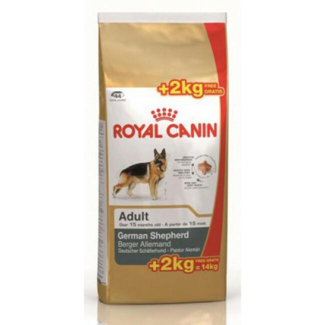 Croquettes Royal Canin Berger Allemand 24 Adulte Sac 12 kg + 2 kg gratuits