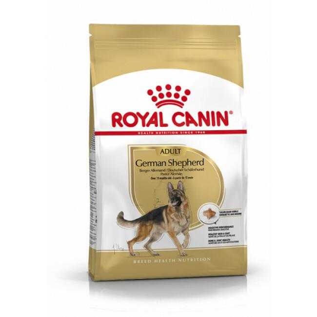 Croquettes Royal Canin Berger Allemand Adulte