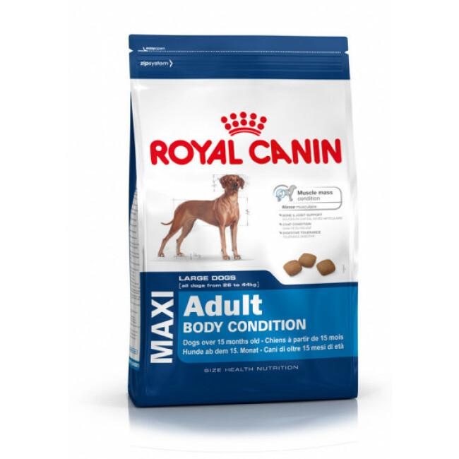 Croquettes Royal Canin Maxi Adulte Body Condition Sac 12 kg