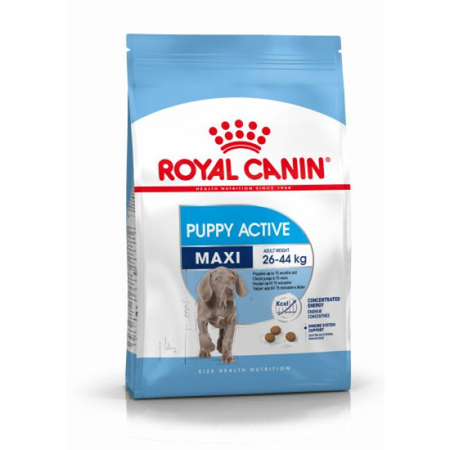 Croquettes Royal Canin Maxi Puppy Junior Active Sac 15 kg