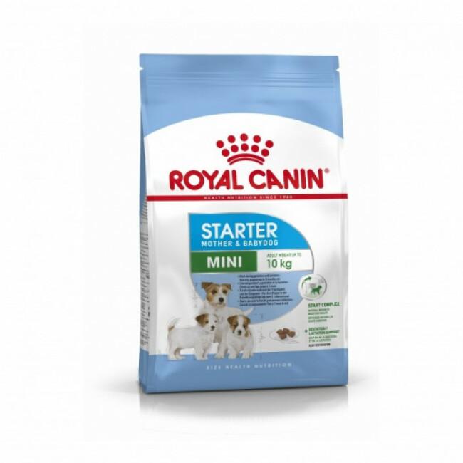 Croquettes Royal Canin Mini Starter Mother & Babydog