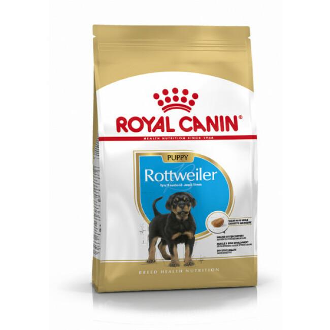 Croquettes Royal Canin Rottweiler 31 Junior