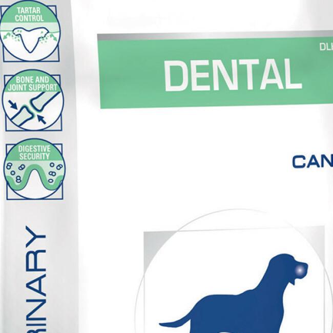 Croquettes Royal Canin Veterinary Diet Dental > 10 kg pour chiens
