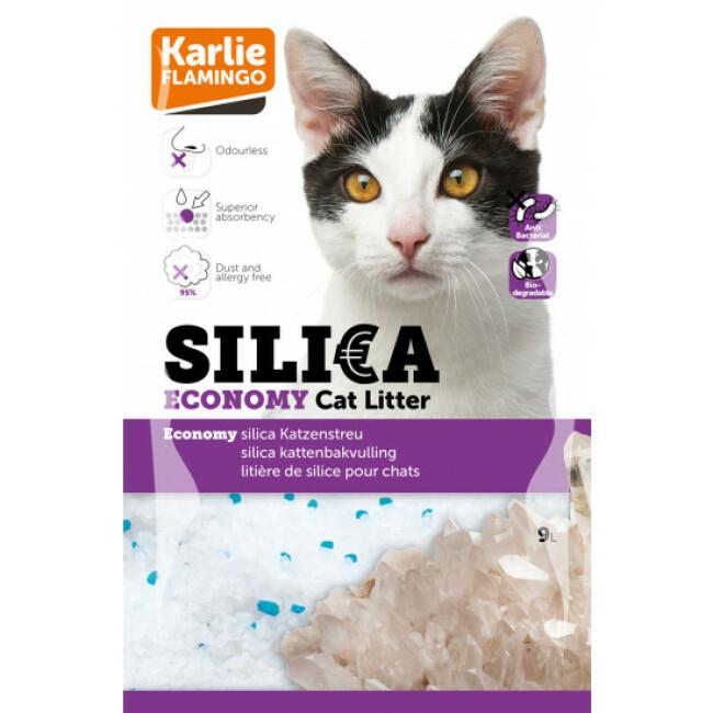 Litière pour chat Silica