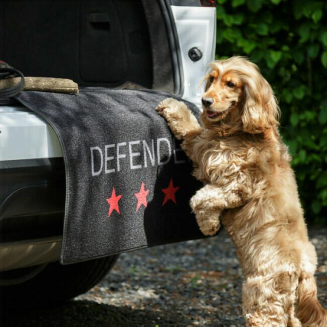Protection pour coffre Defender Pet Rebellion