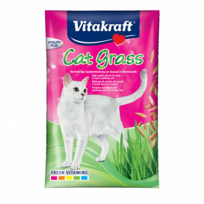 Semence Herbe à Chat Cat-Gras Vitakraft