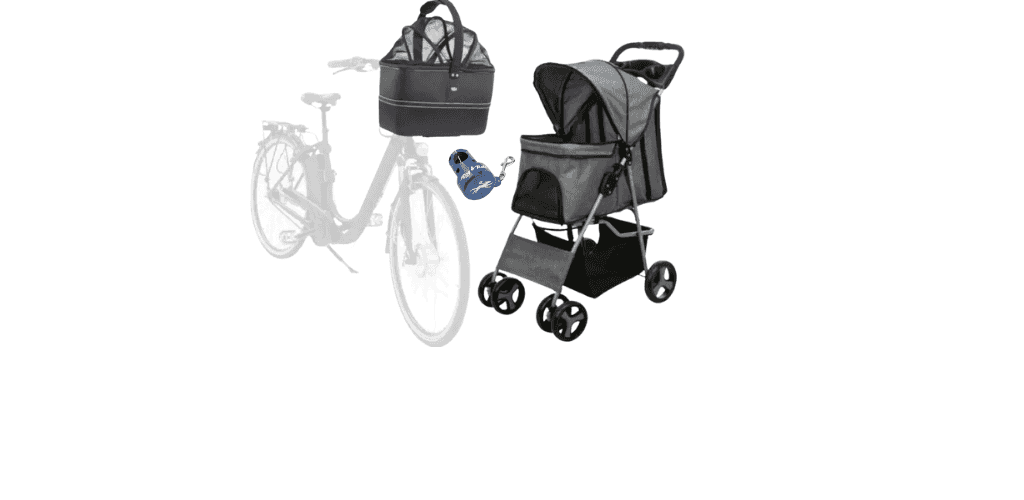 Transport en vélo du chien