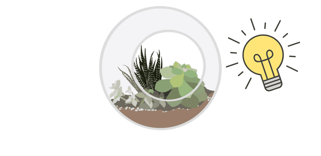 Éclairages pour terrarium
