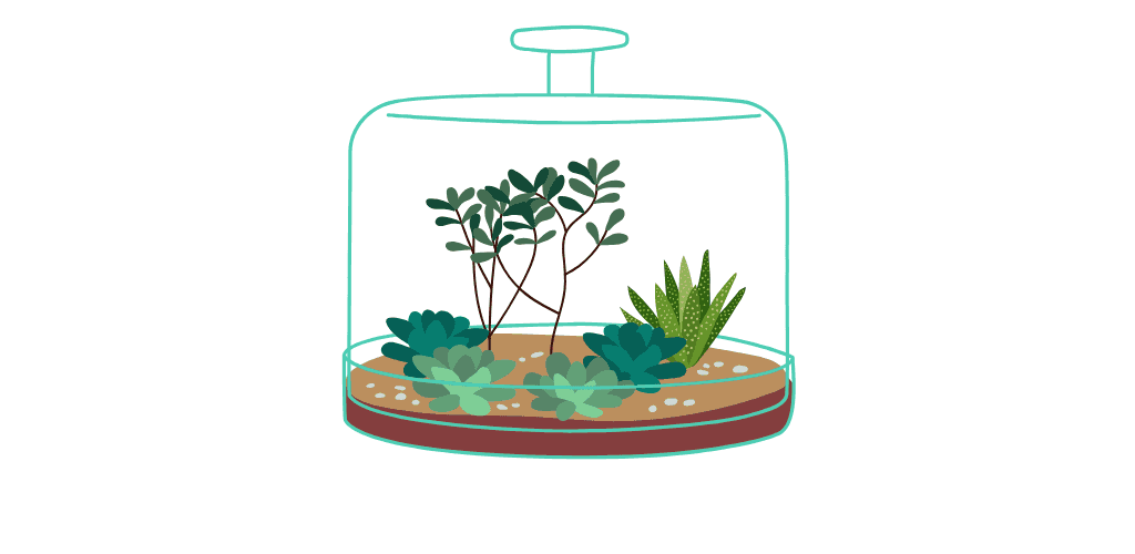 Habitat pour reptiles