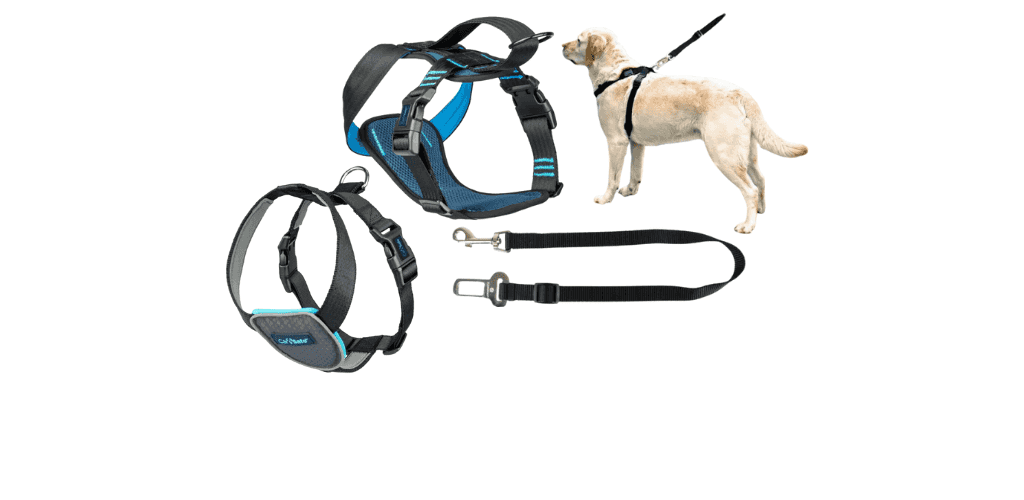Attaches de sécurité et harnais de voiture pour chien