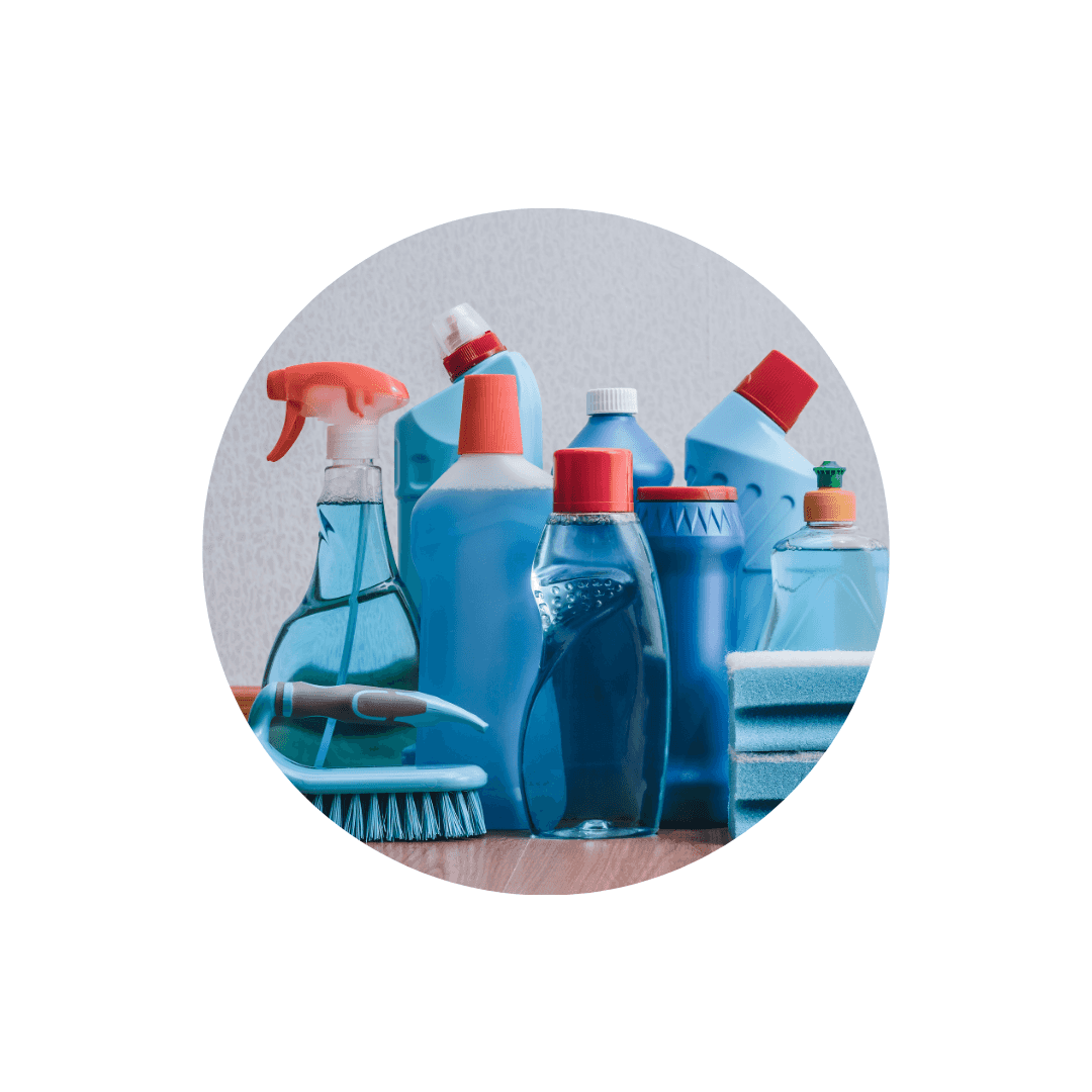 Nettoyage de la cage de la gerbille