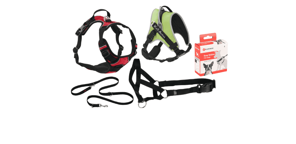 Harnais de dressage pour chien