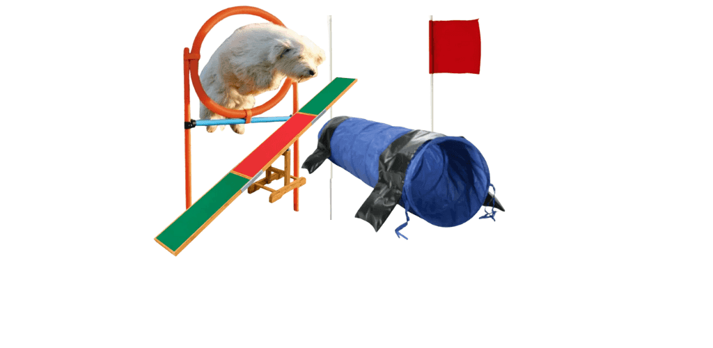 Obstacles de dressage