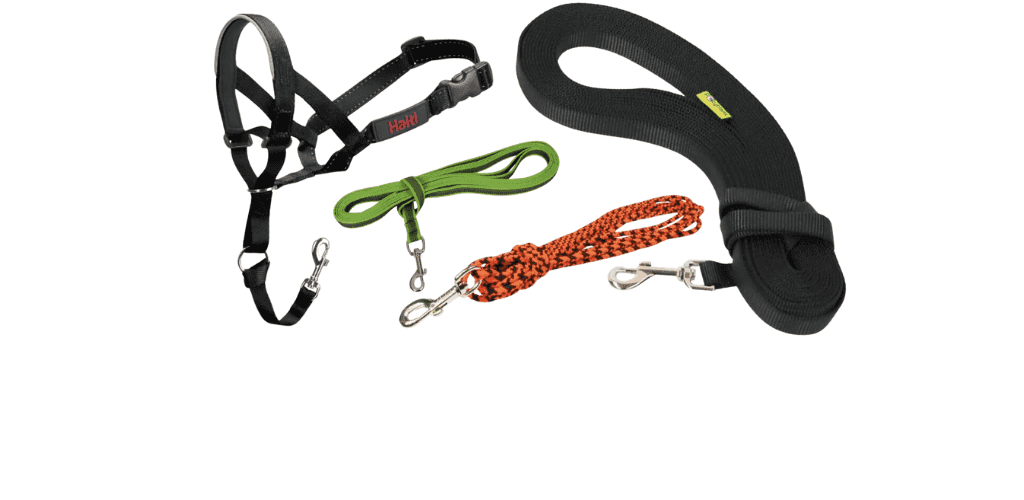 Laisses de dressage et longes