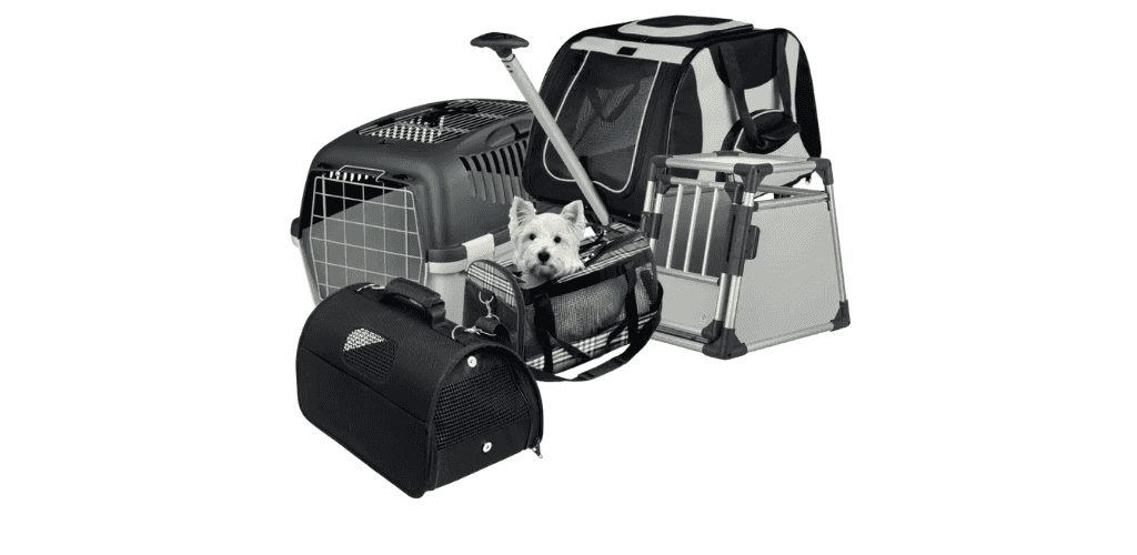 Transport du chiot