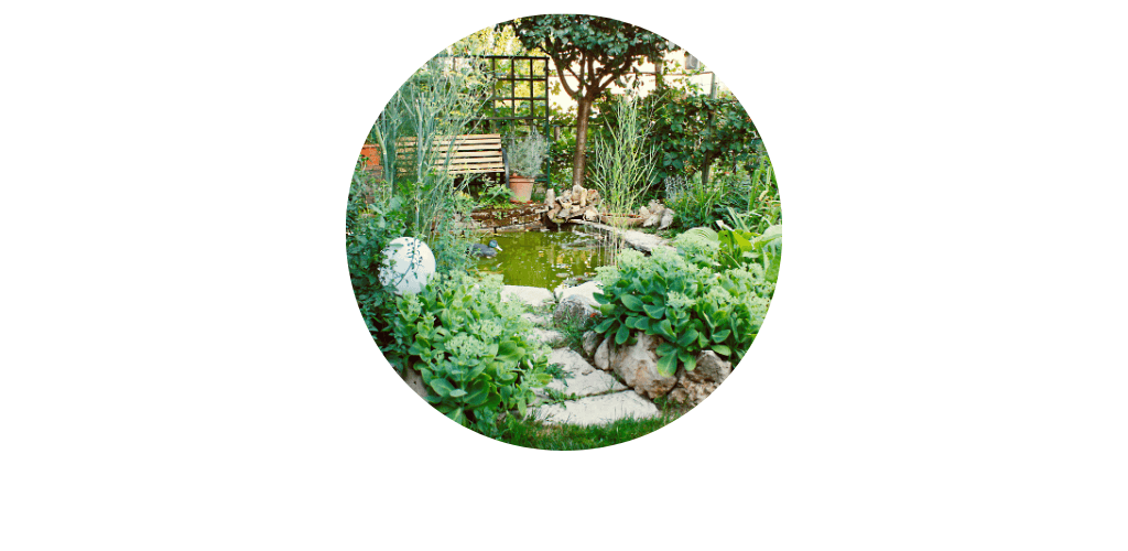 Décorations du bassin de jardin
