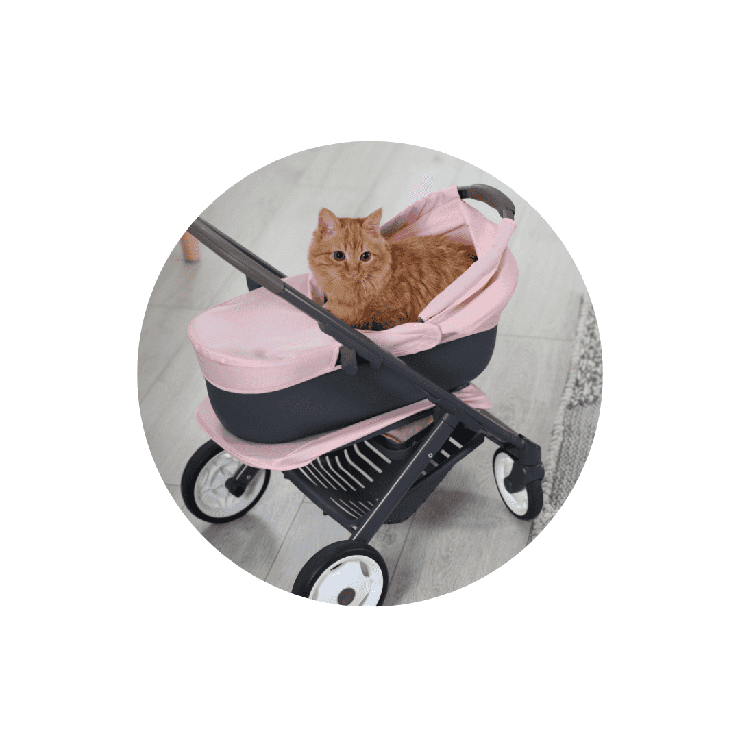 Poussettes et trolleys pour chat