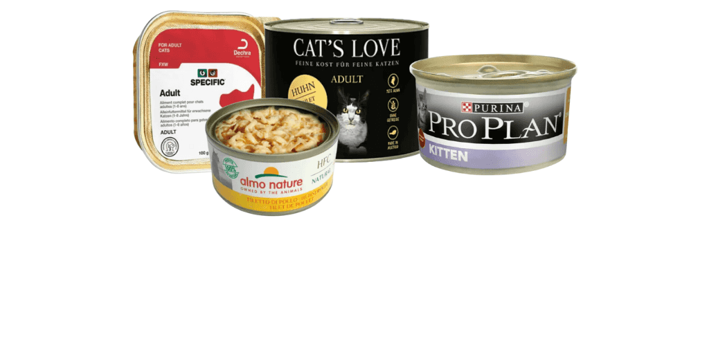 Boites pour chat