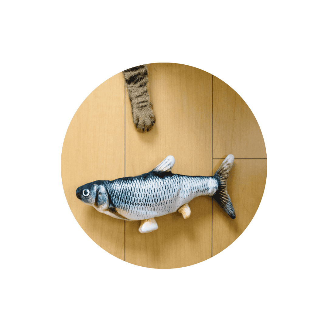 Jouets à l'herbe à chat