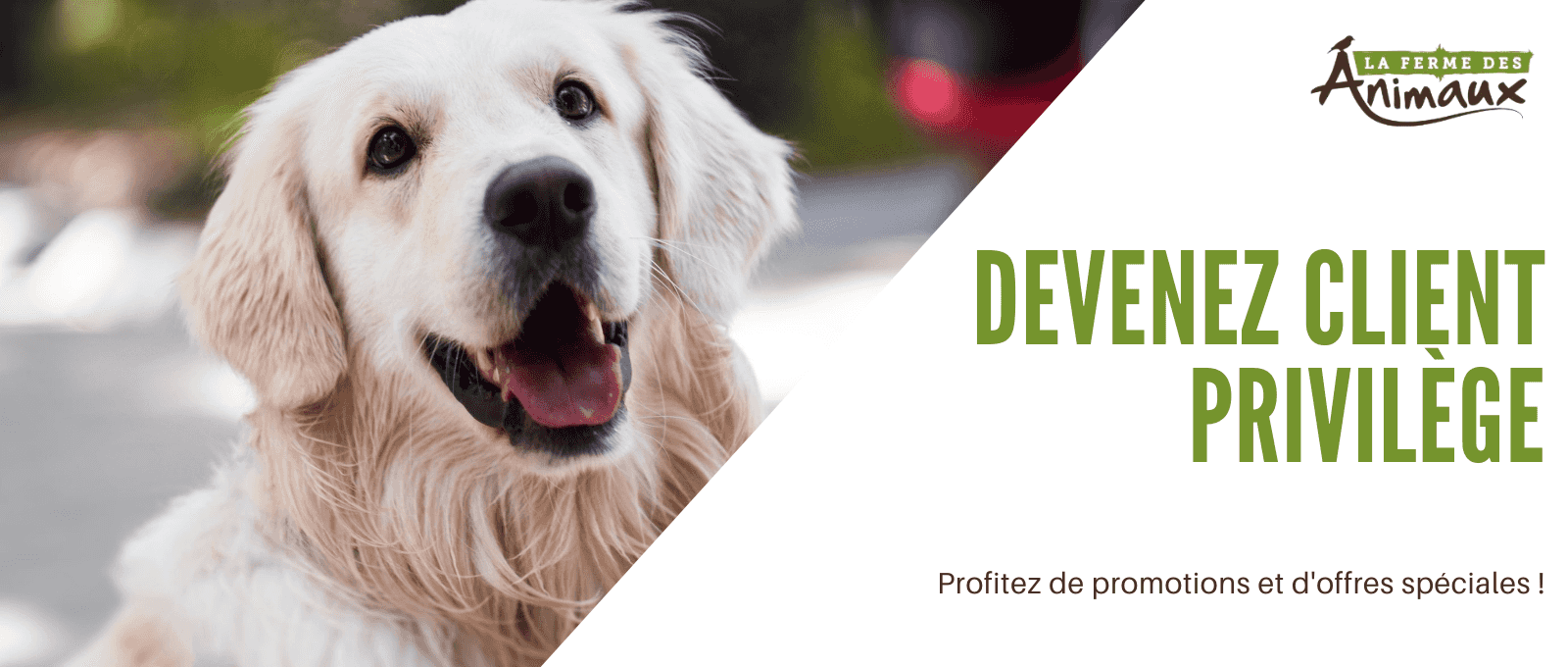 Devenez client privilège