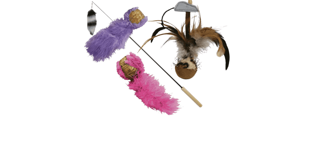 Jouets à plumes pour chat
