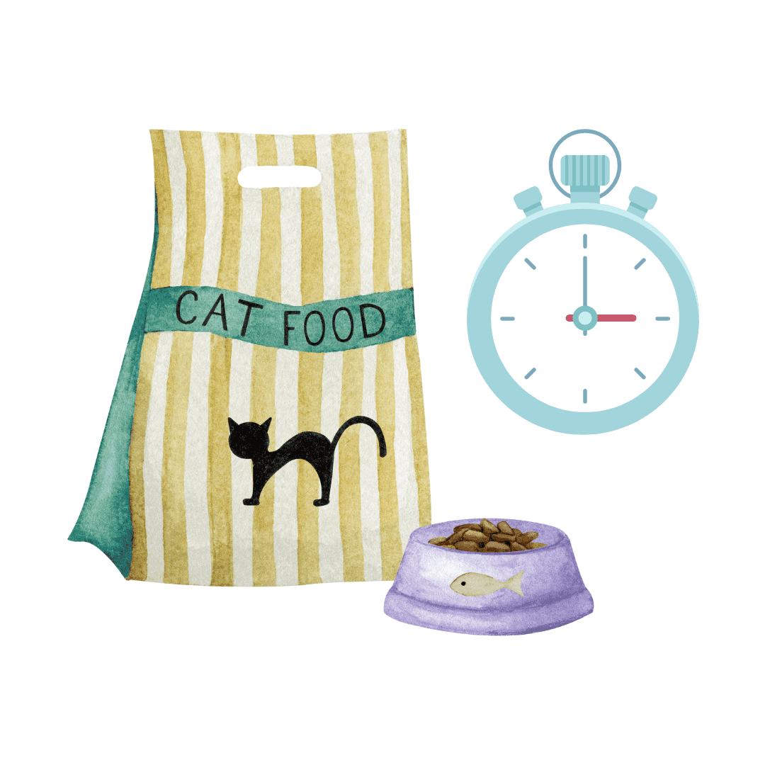 Dates courtes