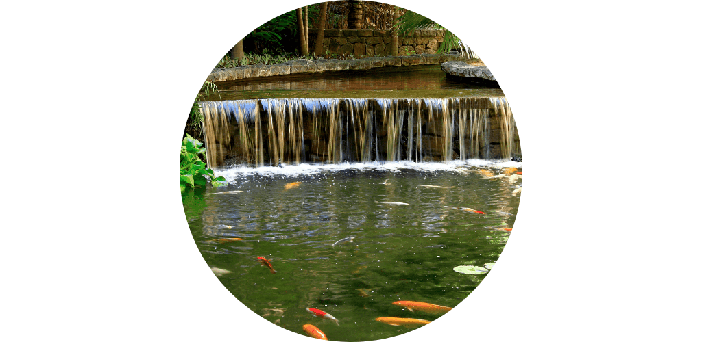 Promos accessoires bassin