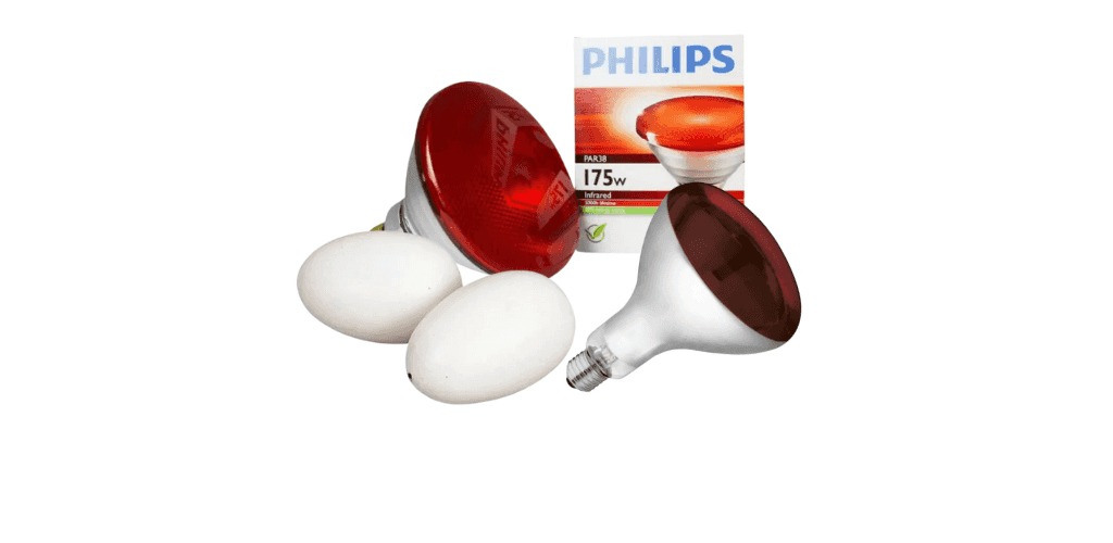 Accessoires couveuse