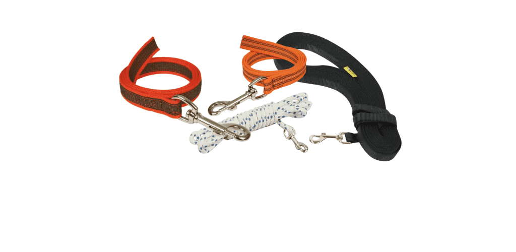 Longes pour chien