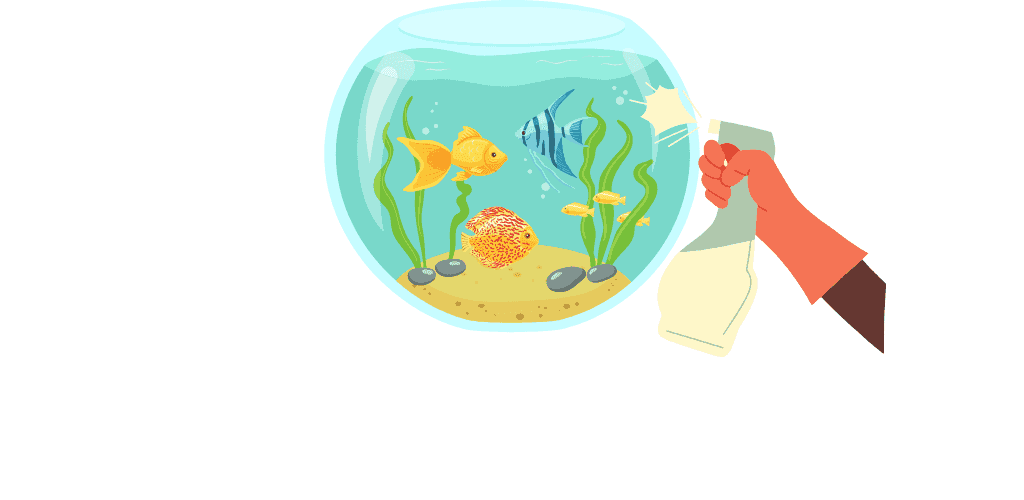 Nettoyage et entretien de l'aquarium