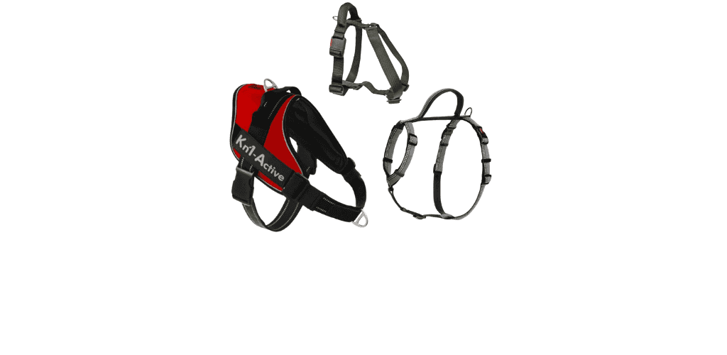 Harnais pour chien