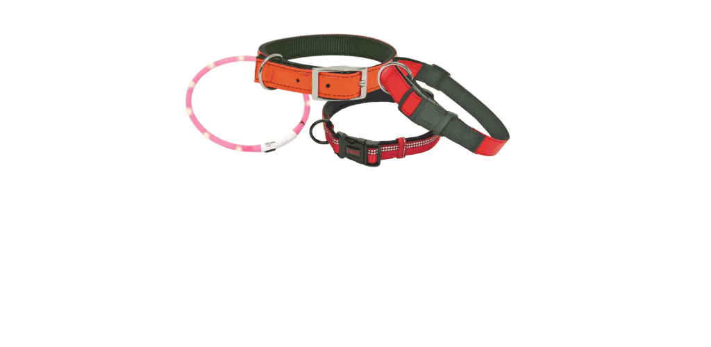 Colliers pour chien