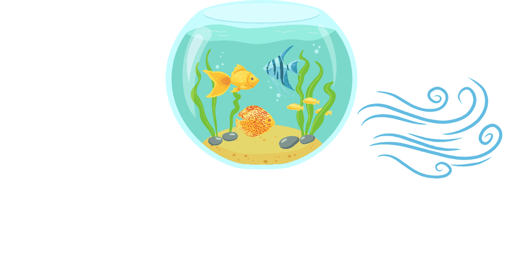 Diffusion d'air pour aquarium