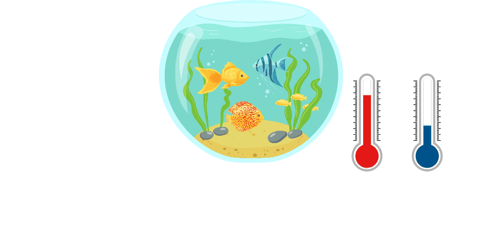 Accessoires pour aquarium