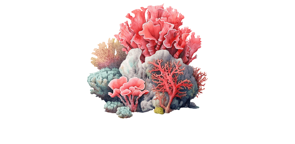 Coraux pour aquarium