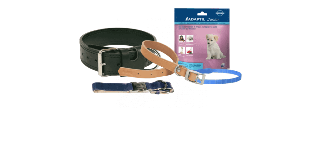 Colliers simples pour chien