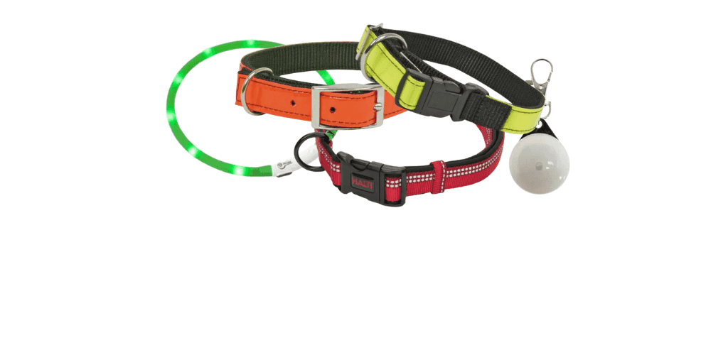 Colliers lumineux pour chien