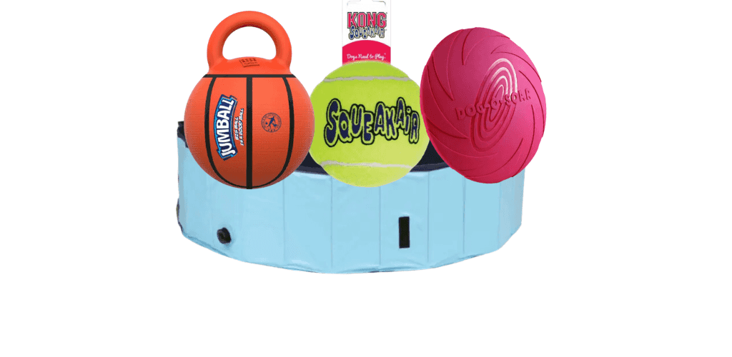 Jouets pour chien sportif