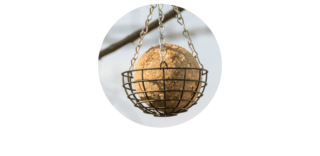 Boules de graisses pour oiseaux