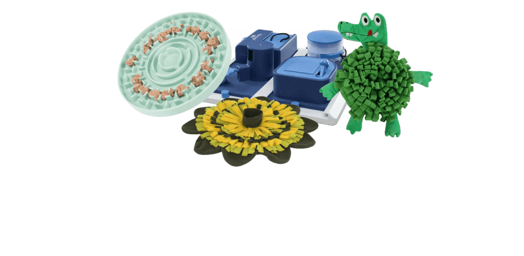 Jouets éducatifs pour chien