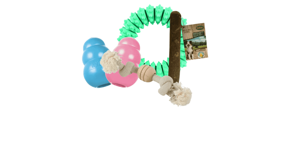 Jouets dentaires pour chien